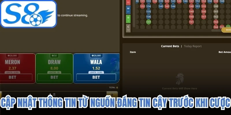 Cập nhật thông tin từ nguồn đáng tin cậy trước khi cược 